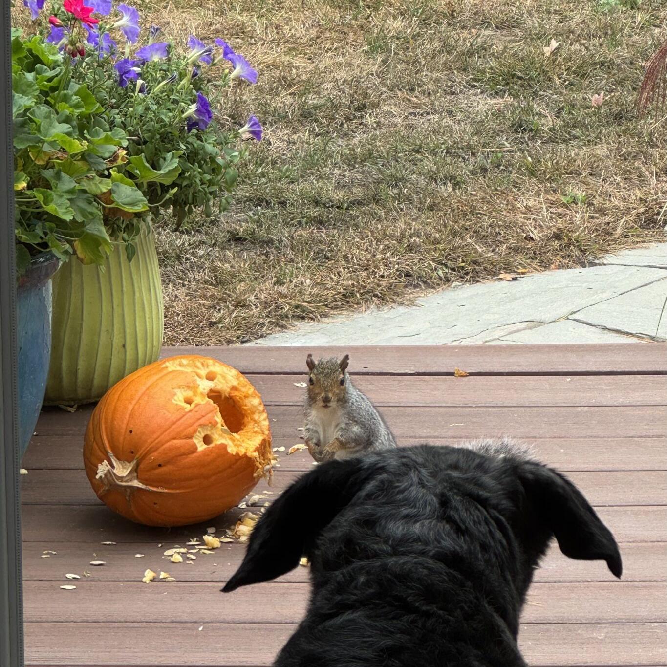 Reader Pics: Oct. 22